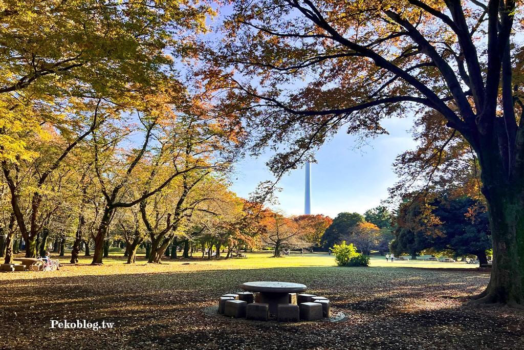 京成電鐵,Skyliner,東京旅遊,東京地鐵,都營大江戶線,東京地鐵券 @PEKO の Simple Life