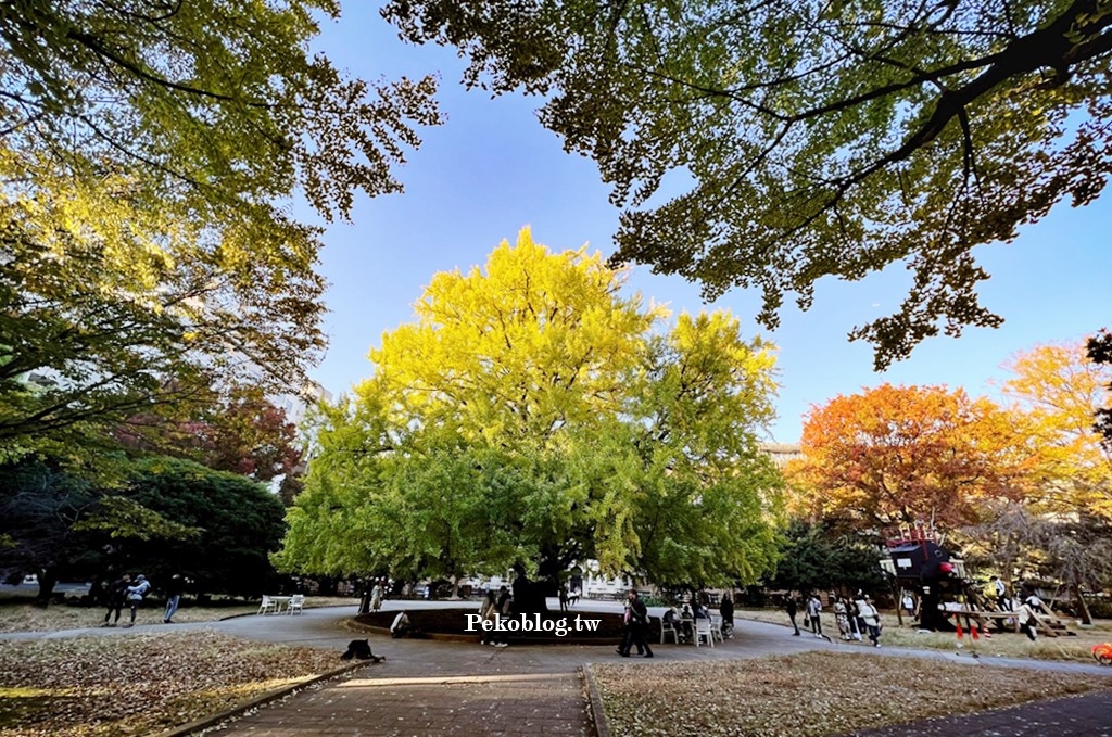 京成電鐵,Skyliner,東京旅遊,東京地鐵,都營大江戶線,東京地鐵券 @PEKO の Simple Life