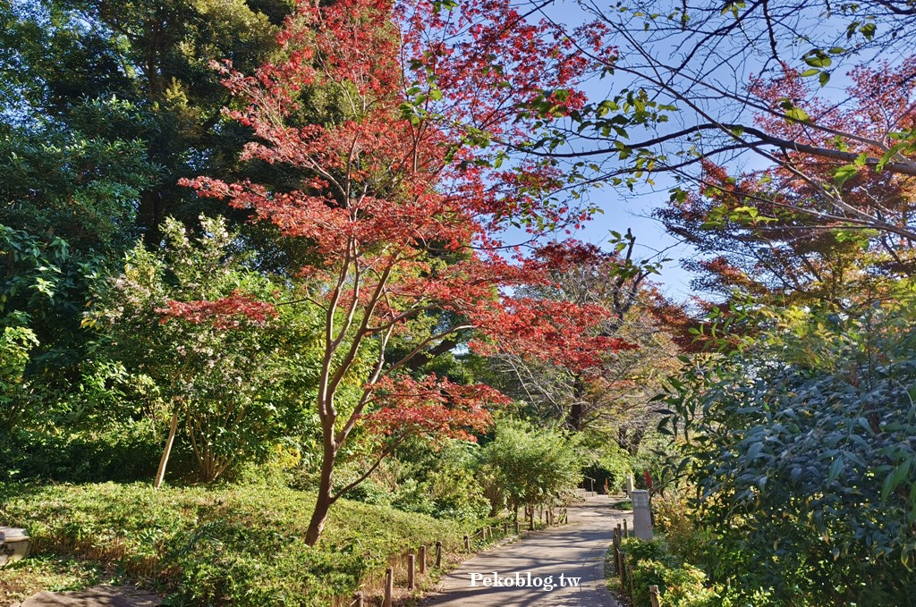 上野住宿,上野景點,上野動物園,阿美橫町,上野公園,上野美食,上野藥妝,上野購物,東京自由行,東京旅遊,京成電鐵,Skyliner @PEKO の Simple Life