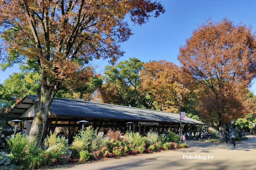 上野住宿,上野景點,上野動物園,阿美橫町,上野公園,上野美食,上野藥妝,上野購物,東京自由行,東京旅遊,京成電鐵,Skyliner @PEKO の Simple Life