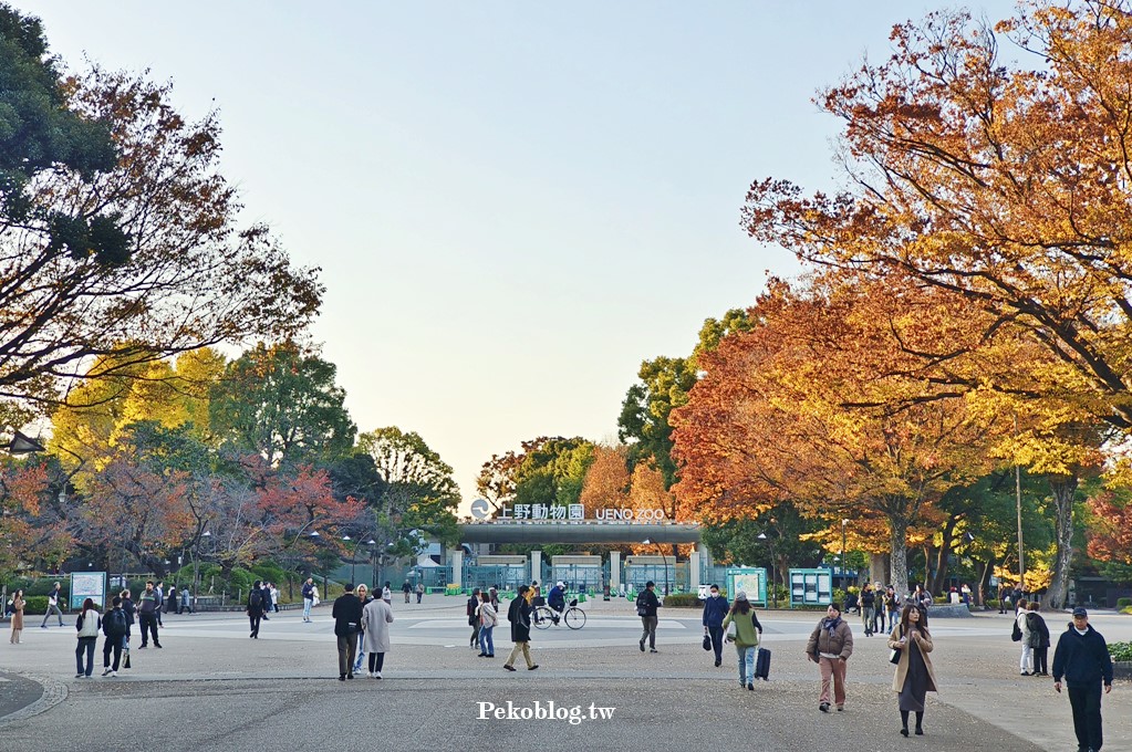 上野住宿,上野景點,上野動物園,阿美橫町,上野公園,上野美食,上野藥妝,上野購物,東京自由行,東京旅遊,京成電鐵,Skyliner @PEKO の Simple Life