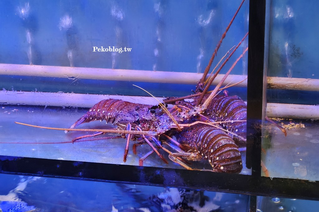 芝山站美食,台北烤鴨,典華雅聚士林店,典華雅聚烤鴨,典華雅聚推薦,典華雅聚菜單,天母美食 @PEKO の Simple Life