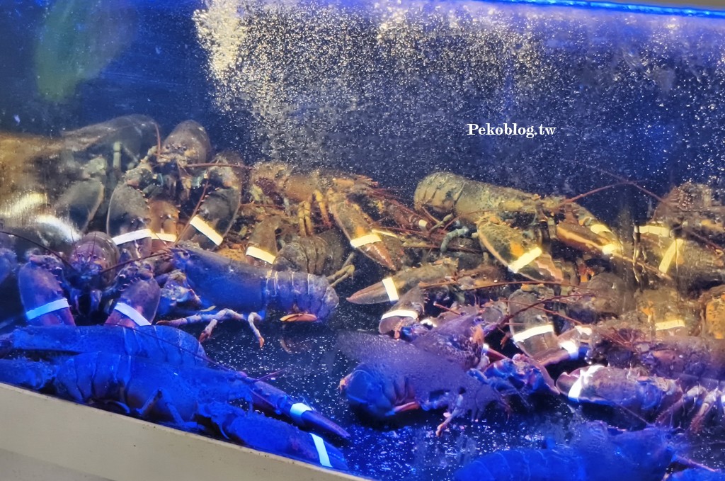 西區桌菜,台中聚餐推薦,台中美食,台中粵菜,西區港式 @PEKO の Simple Life