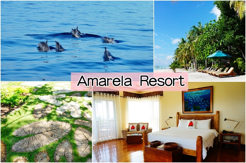 Amarela,亞摩瑞拉度假村,海馬度假村,菲律賓薄荷島飯店,菲律賓薄荷島住宿,菲律賓薄荷島旅遊,海豚,EdTech,菲律賓旅遊|景點|美食|住宿,Resort @PEKO の Simple Life