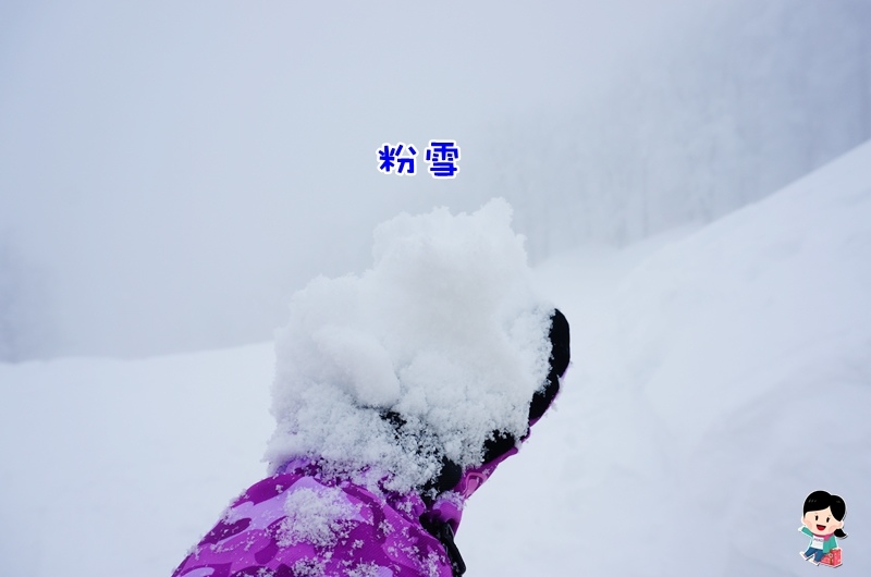 鯵澤町,粉雪,青森滑雪行,雪精靈滑雪團,SKI,AOMORI,SPRING,Resort,青森溫泉滑雪場,日本東北滑雪 @PEKO の Simple Life