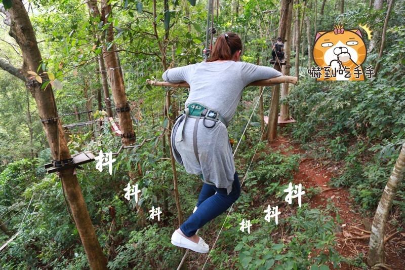 飛越叢林,泰國,叢林飛躍,Tree,象島自駕,象島旅遊|景點|美食|住宿,象島,Chang,KOH,象島景點,Top,樹頂公園 @PEKO の Simple Life