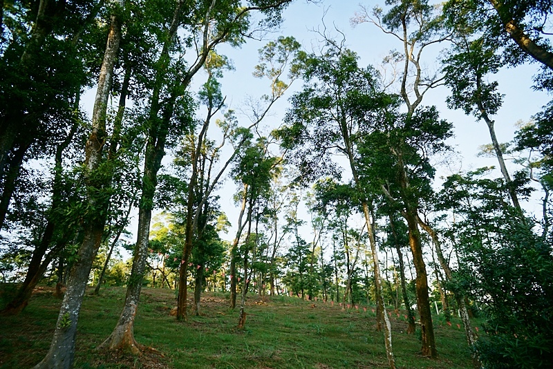 三義農地自建,自在森林,苗栗農地,農地改建,苗栗農地買賣,退休族裡財,三義退休,三義自在森林農地,苗栗銀髮住宅,三義自在森林,苗栗房屋,自在森林農地,苗栗農地推薦,苗栗自在森林,台灣旅遊景點,三義農舍,農地,三義農地,農地出售,三義別墅,農地買賣 @PEKO の Simple Life